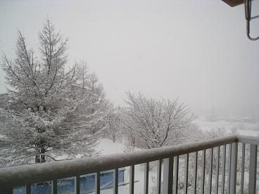 IMG_0210c.JPG