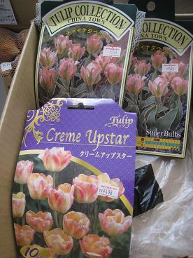 IMG_9485c.JPG