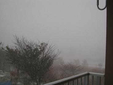 IMG_9898c.JPG