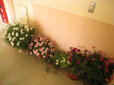 IMG_9912c.JPG